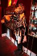 Photo albulle/photos/mondino_zebre_0407_christian/10.jpg